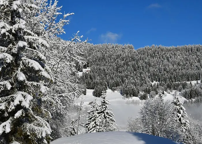 Alpehytte Orlando